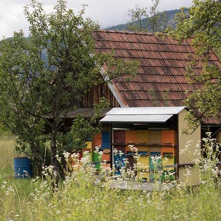 Apartma Petra Ravnik - Wanderer'S Hut Appartamento Bohinj Esterno foto