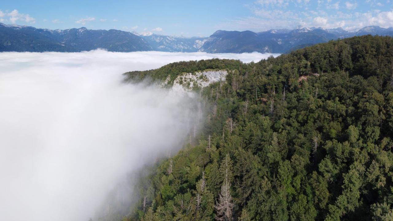 Apartma Petra Ravnik - Wanderer'S Hut Appartamento Bohinj Esterno foto