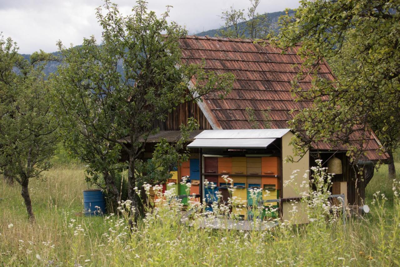 Apartma Petra Ravnik - Wanderer'S Hut Appartamento Bohinj Esterno foto